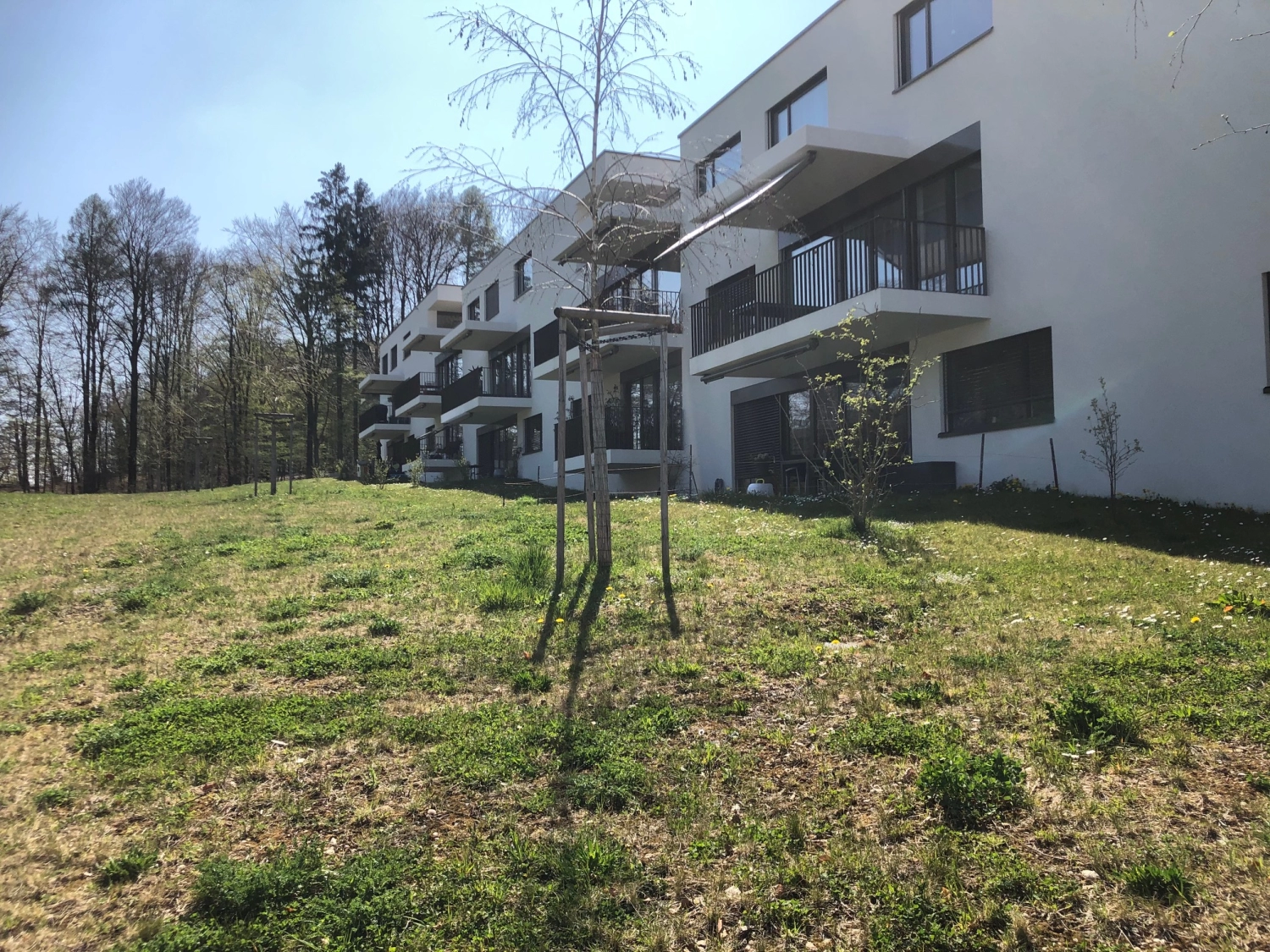 201532 Wohnüberbauung Chlyholz Olten Bild 1*