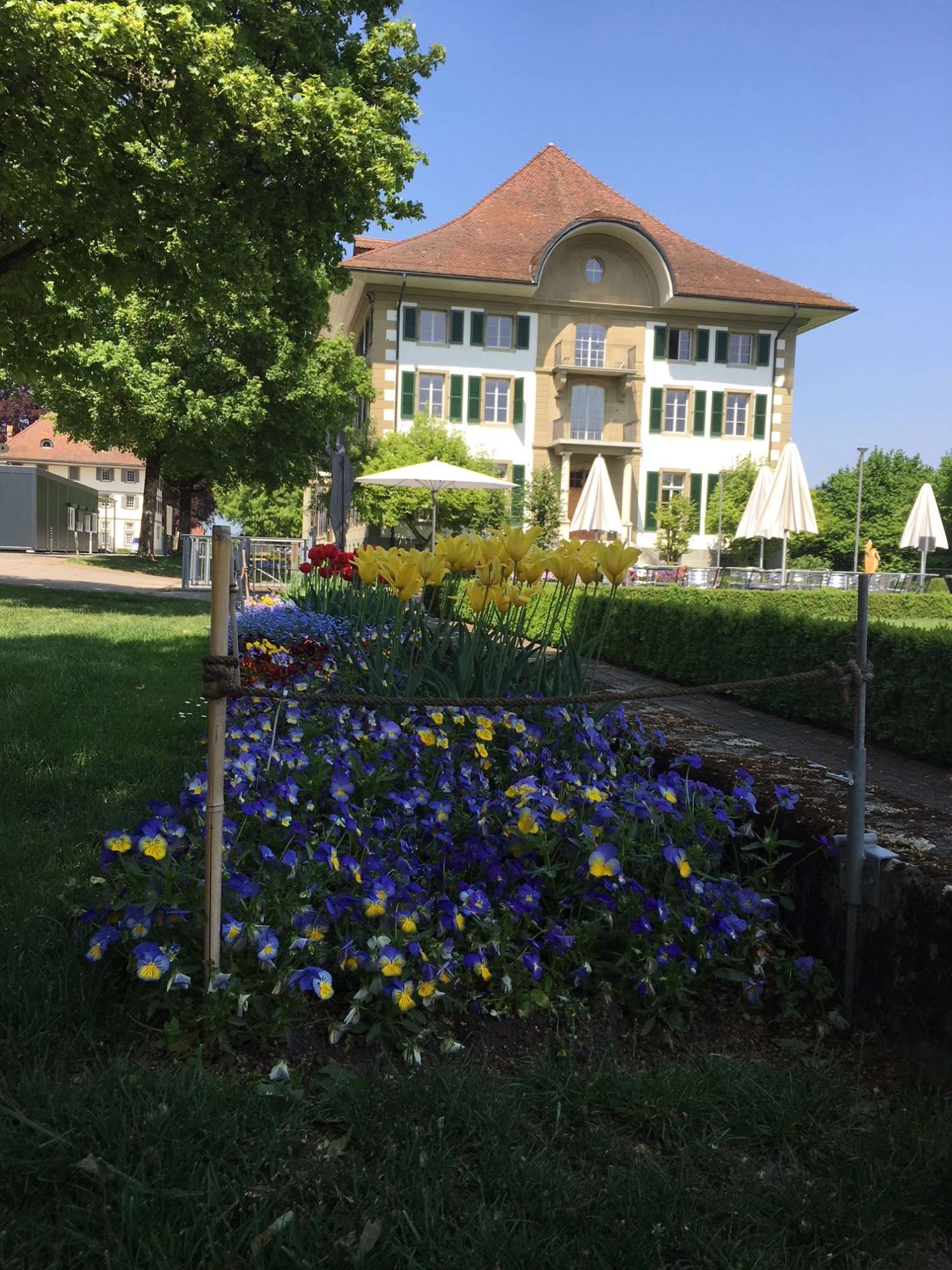 201524 Gymnasium Hofwil Bild 2*