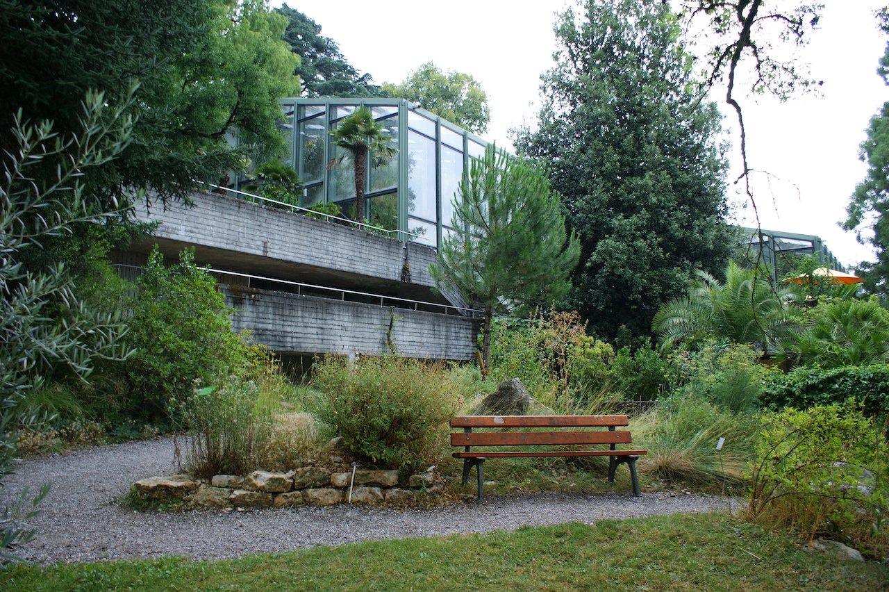201913 Botanischer Garten Bern Bild 5*