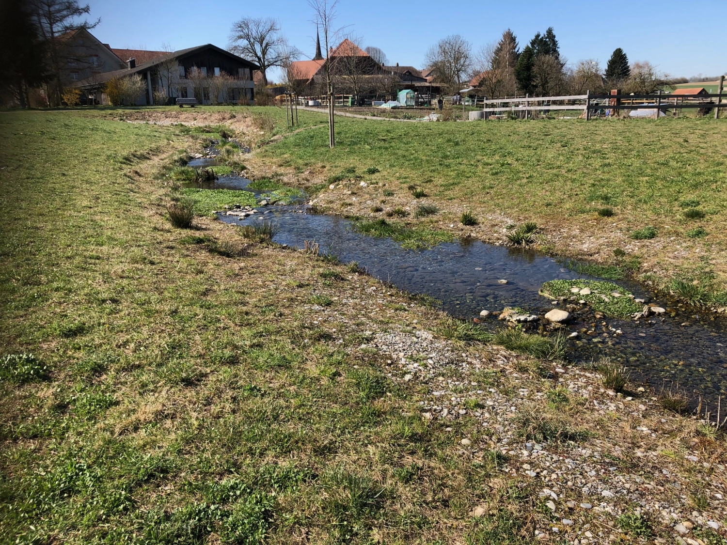 201733 Renaturierungsprojekt Moosseedorf Bild 7*