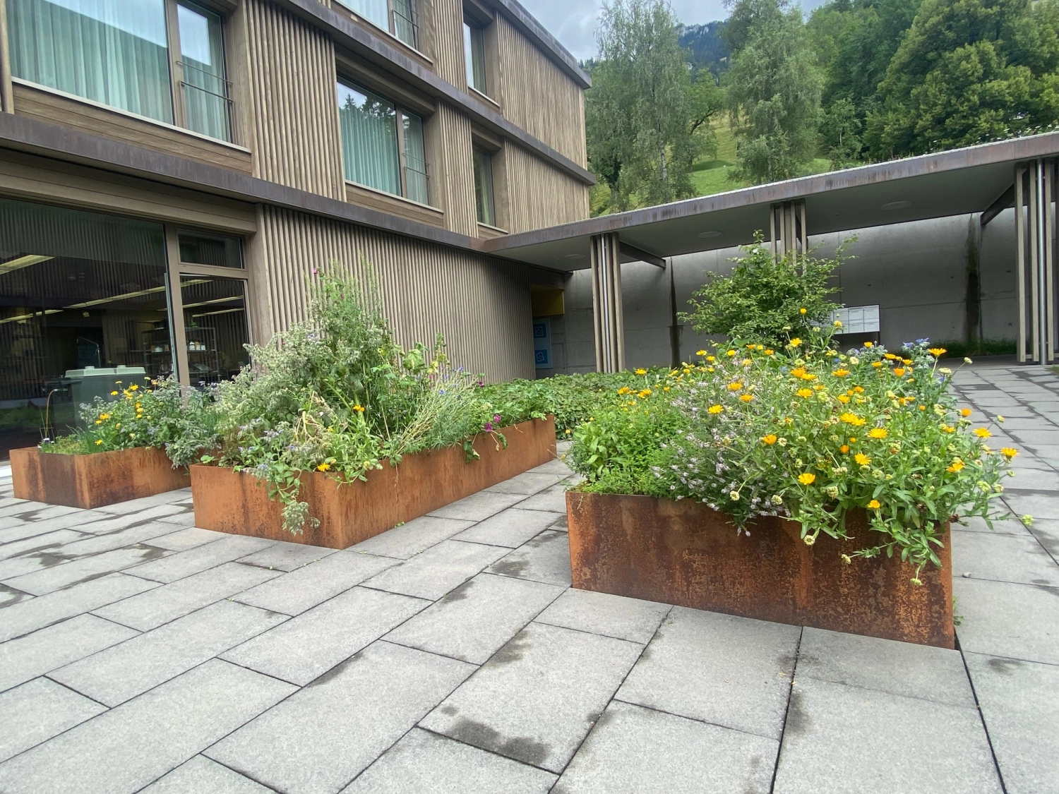 201451 Alterszentrum Erlenbach Bild 3*