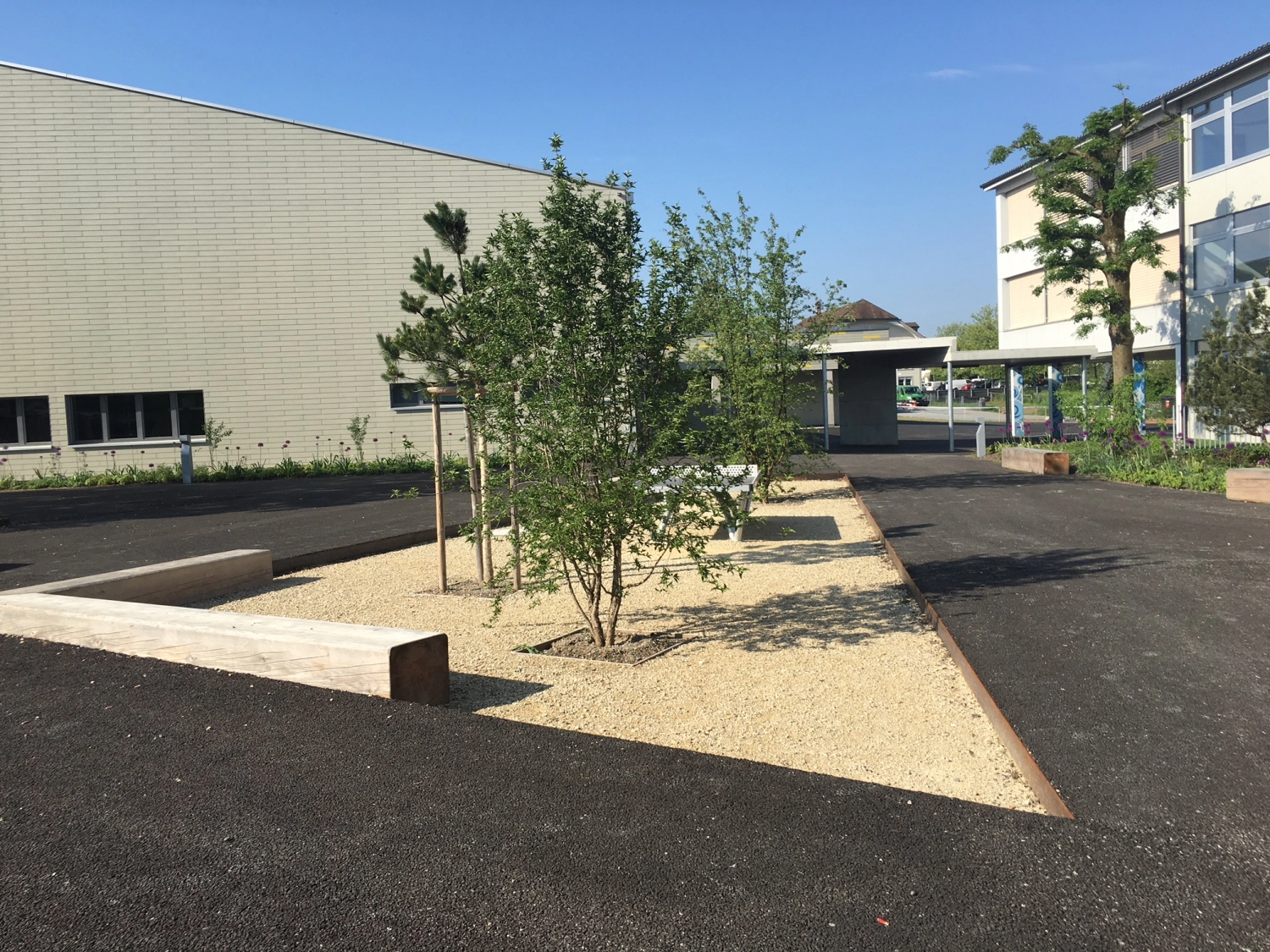 201616 Schulanlage Hindelbank Bild 1*
