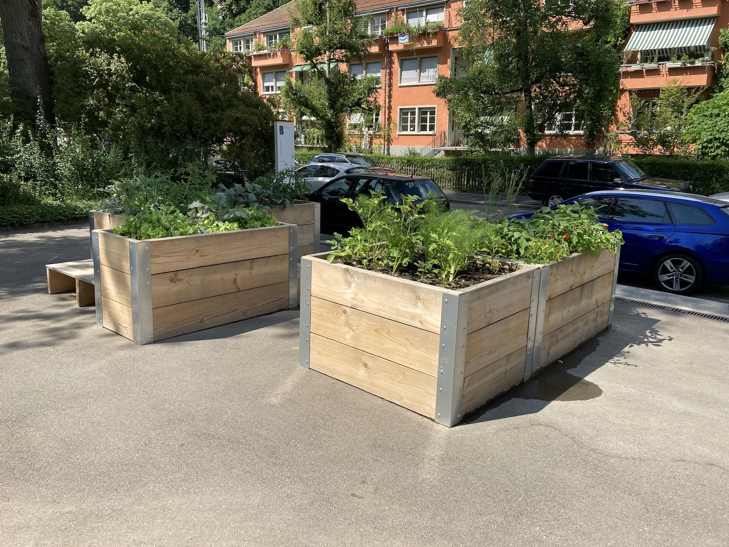 202214 Urban Gardening BFH Marzili Bild 4*