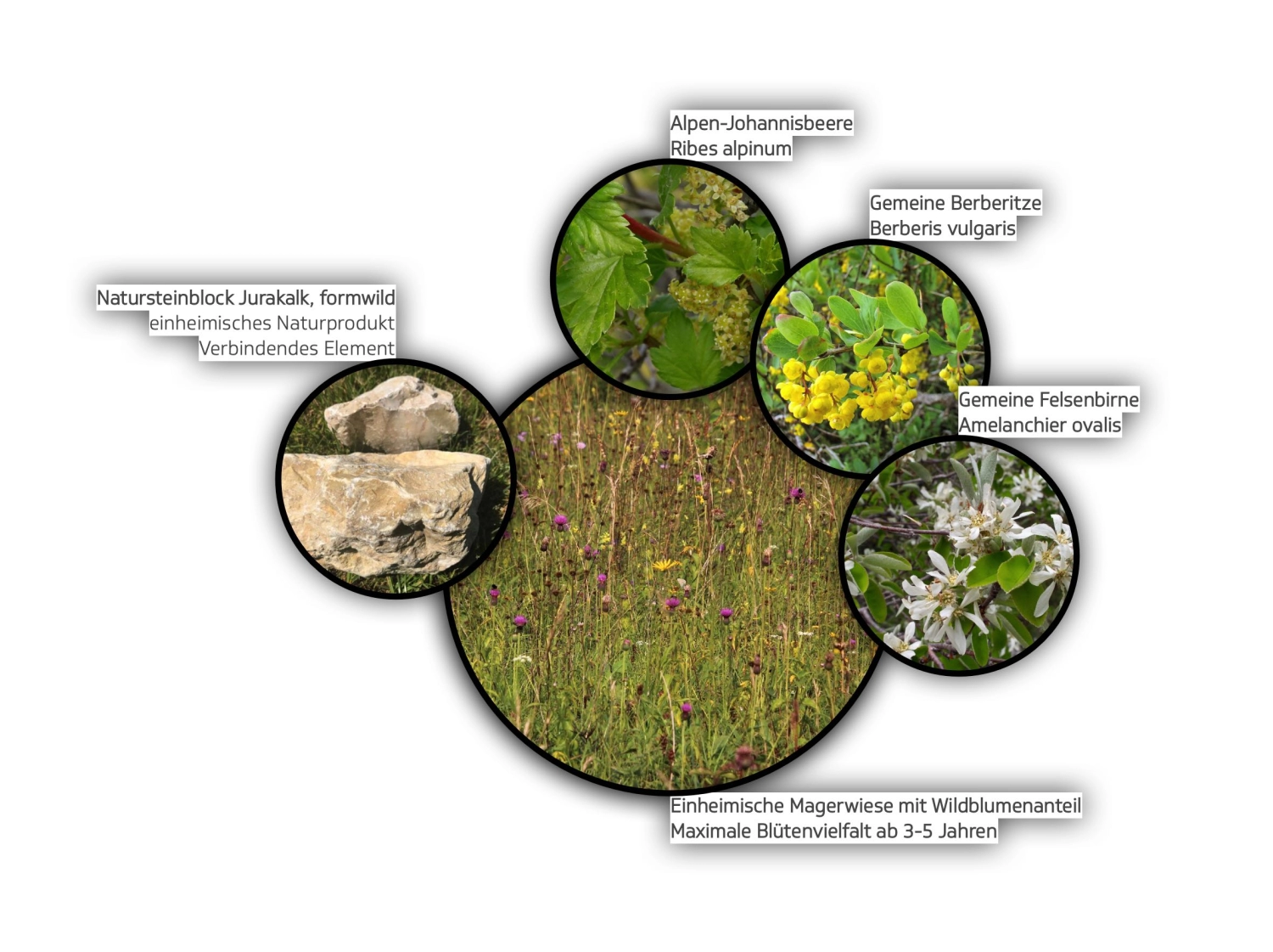 202212 Breitling Grenchen Bild 9*