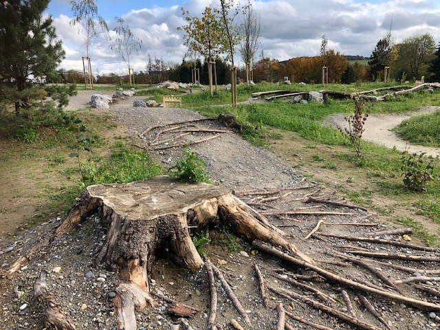 201912 Swiss Bike Park Oberried Bild 1