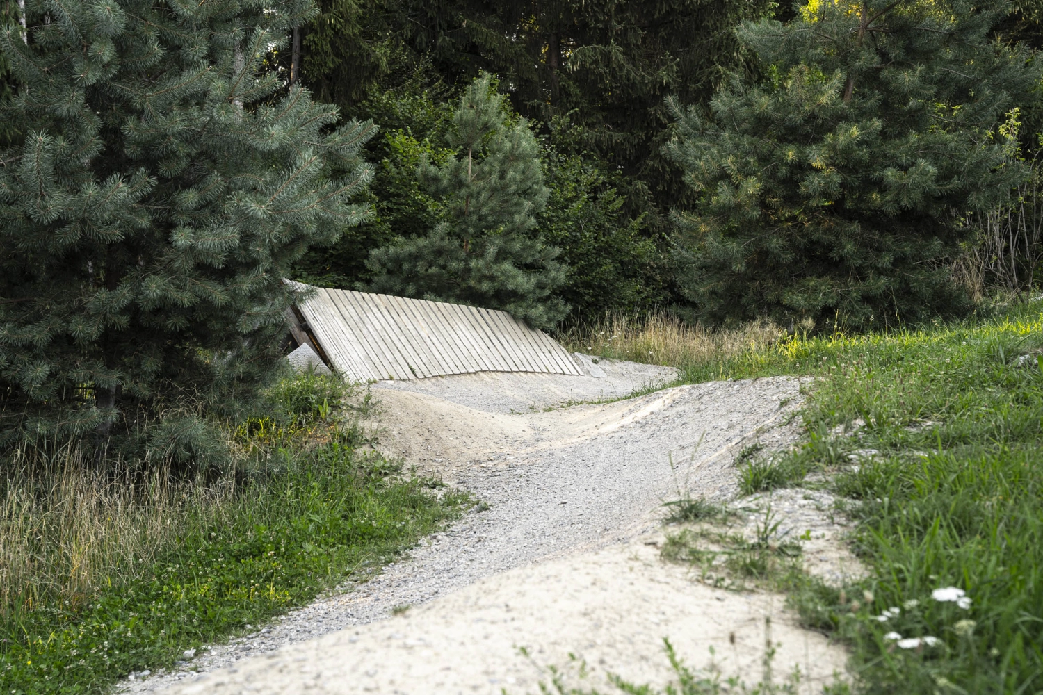 201912 Swiss Bike Park Oberried Bild 1