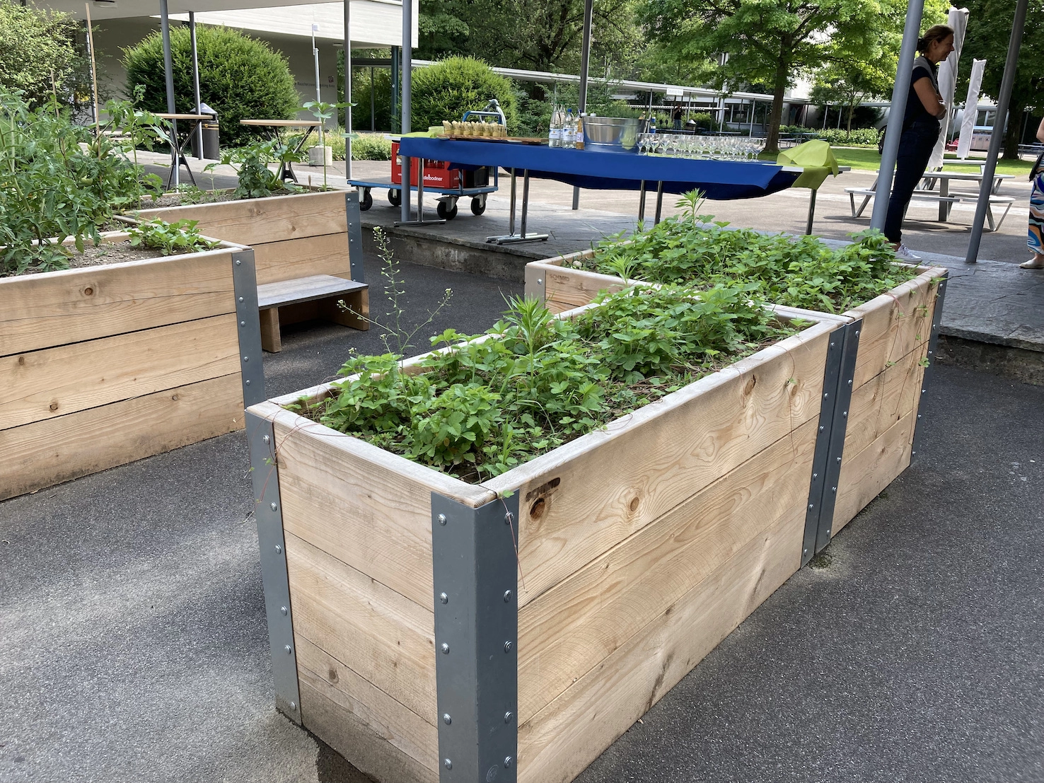 202214 Urban Gardening BFH Marzili Bild 4*