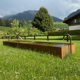 202252 Chalet Gstaad Bild 4