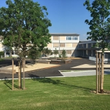 201616 Schulanlage Hindelbank Bild 1*