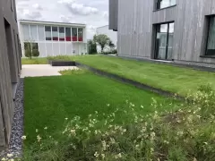 201919 Wohnüberbauung Schäferei Zollikofen Bild 2*