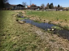 201733 Renaturierungsprojekt Moosseedorf Bild 7*