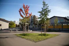 201834-13*