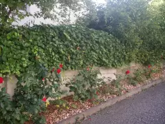 201738 Schulanlage Oberscherli Bild 1*