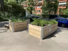 202214 Urban Gardening BFH Marzili Bild 4*