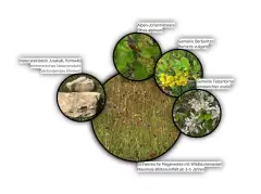 202212 Breitling Grenchen Bild 9*