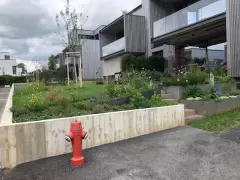 201919 Wohnüberbauung Schäferei Zollikofen Bild 2*
