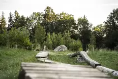 201912 Swiss Bike Park Oberried Bild 1