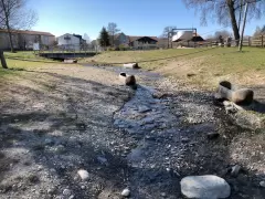 201733 Renaturierungsprojekt Moosseedorf Bild 7*