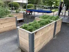 202214 Urban Gardening BFH Marzili Bild 4*