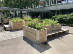 202214 Urban Gardening BFH Marzili Bild 4*