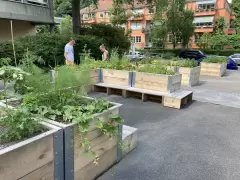 202214 Urban Gardening BFH Marzili Bild 4*