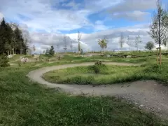 201912 Swiss Bike Park Oberried Bild 1